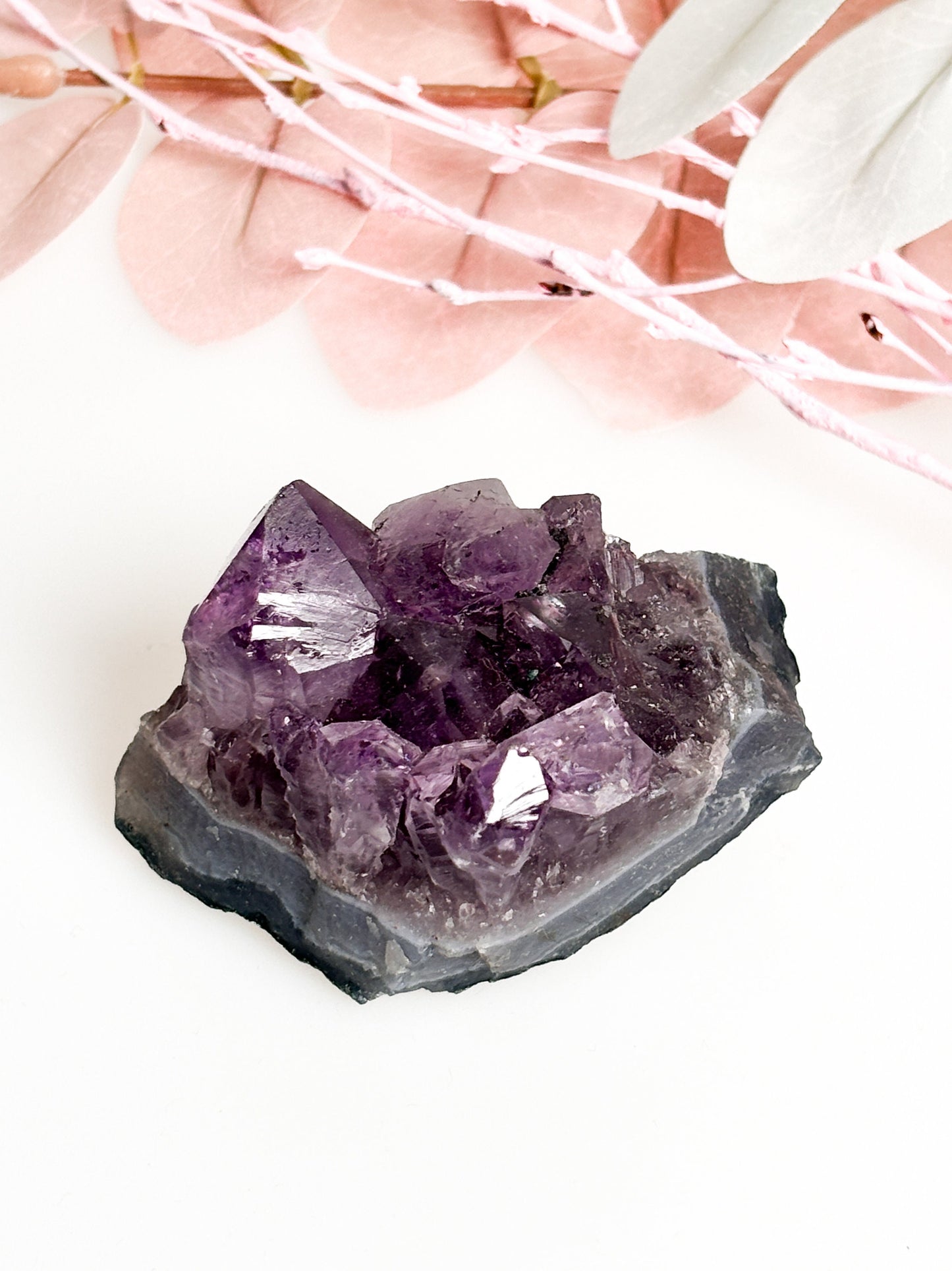 Handverlesene Amethystdruse: 50g bis 60g