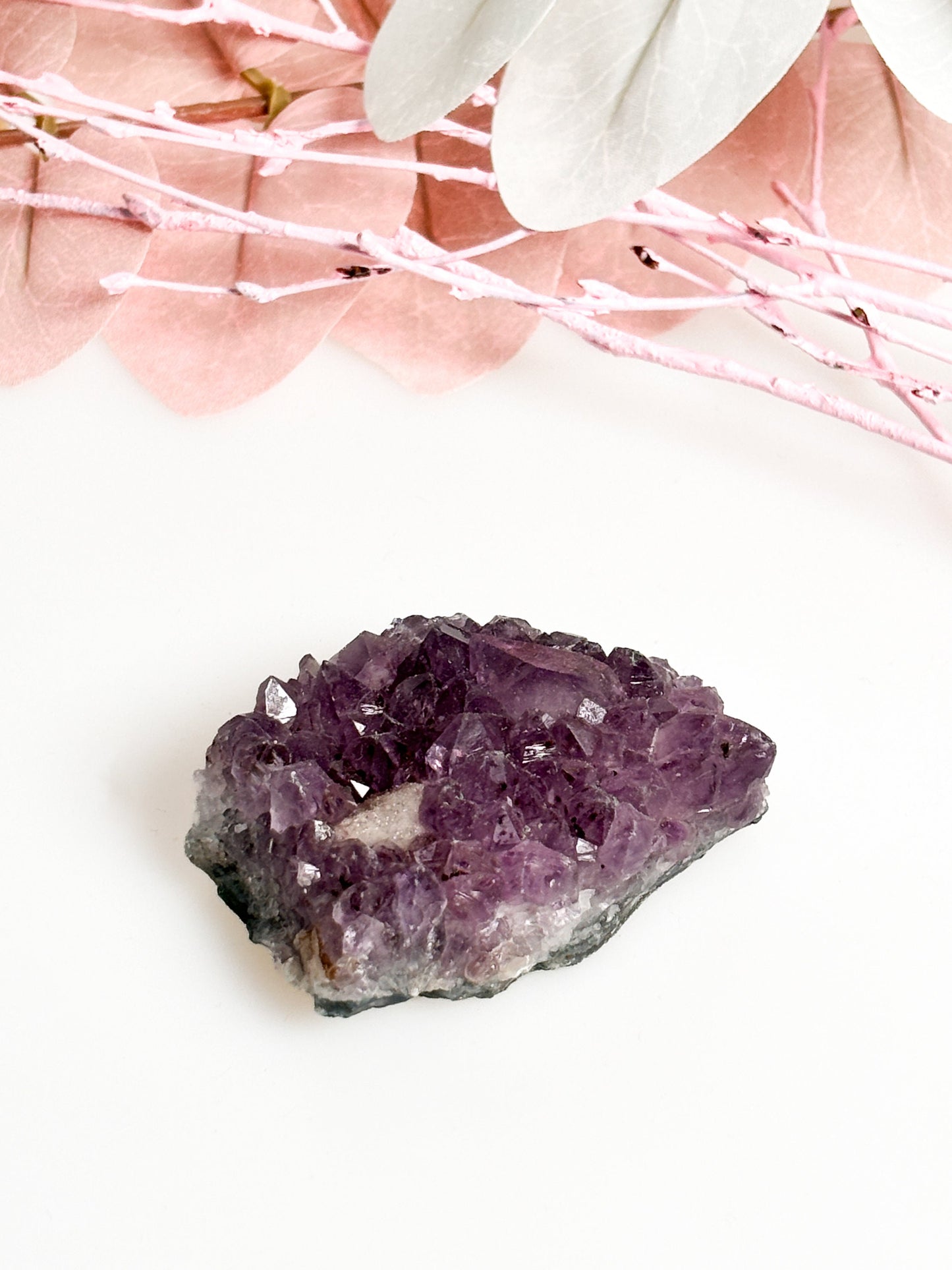 Handverlesene Amethystdruse: 50g bis 60g