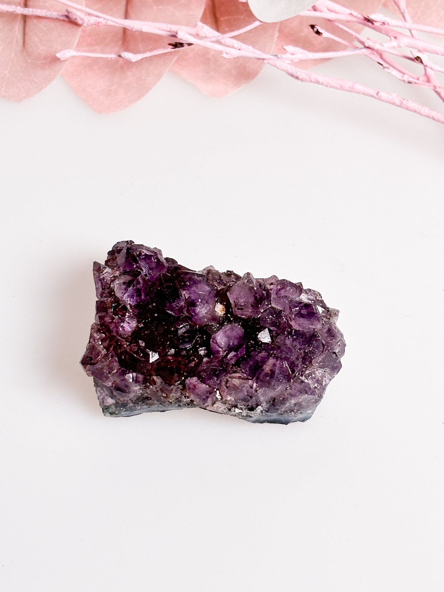 Handverlesene Amethystdruse: 50g bis 60g
