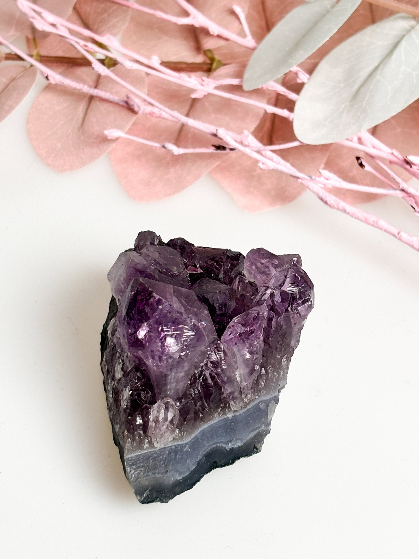 Handverlesene Amethystdruse: 50g bis 60g