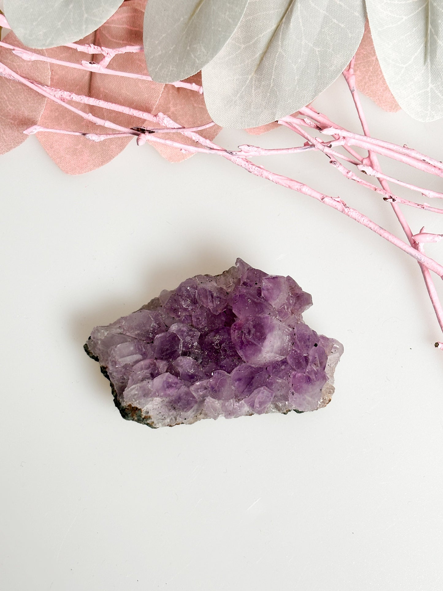 Handverlesene Amethystdruse: 50g bis 60g