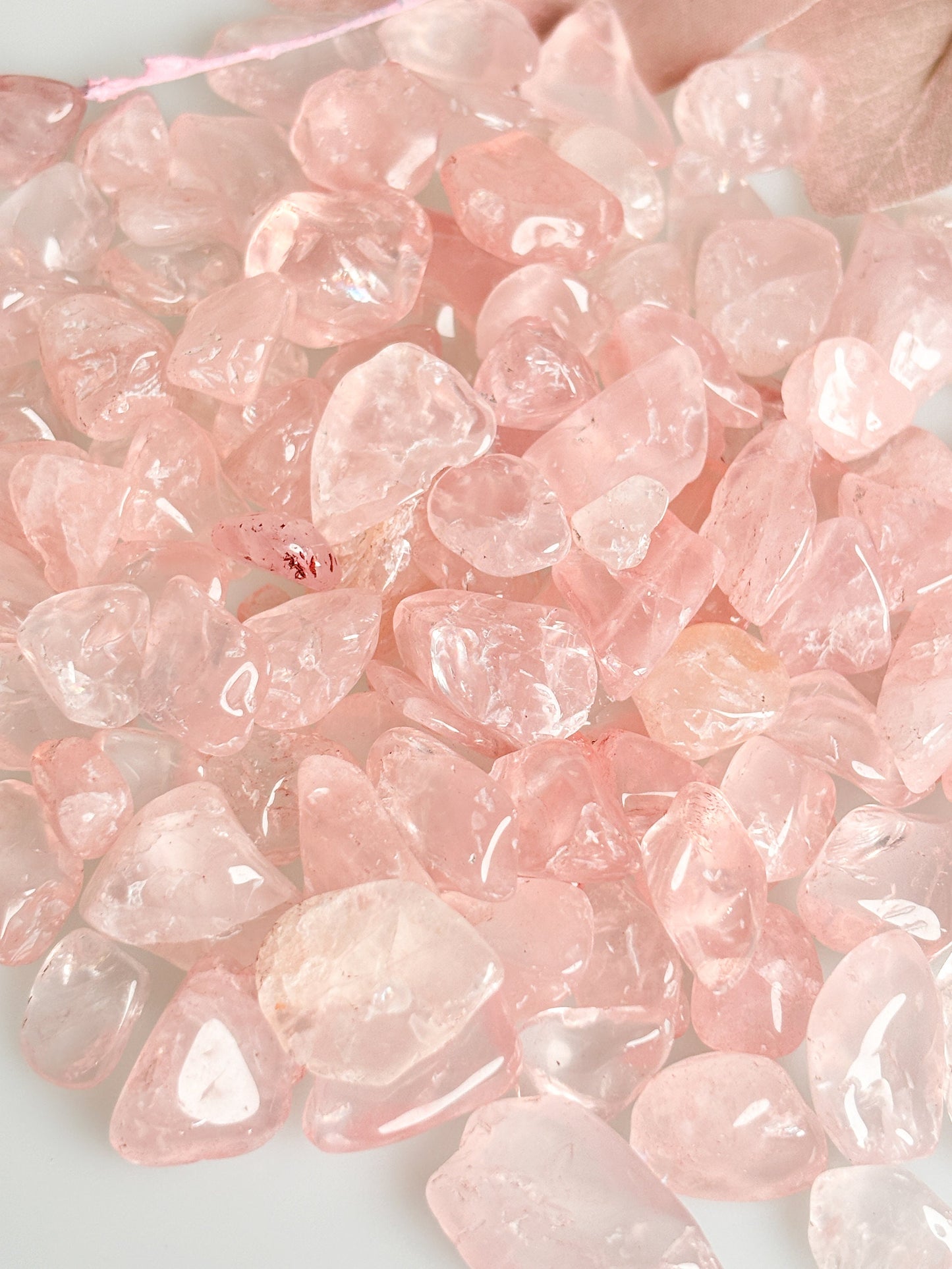 Rosenquarz Chips – Optimal zur Wasserenergetisierung oder als Deko – Sehr Transparent, Hochwertig und Vielseitig einsetzbar