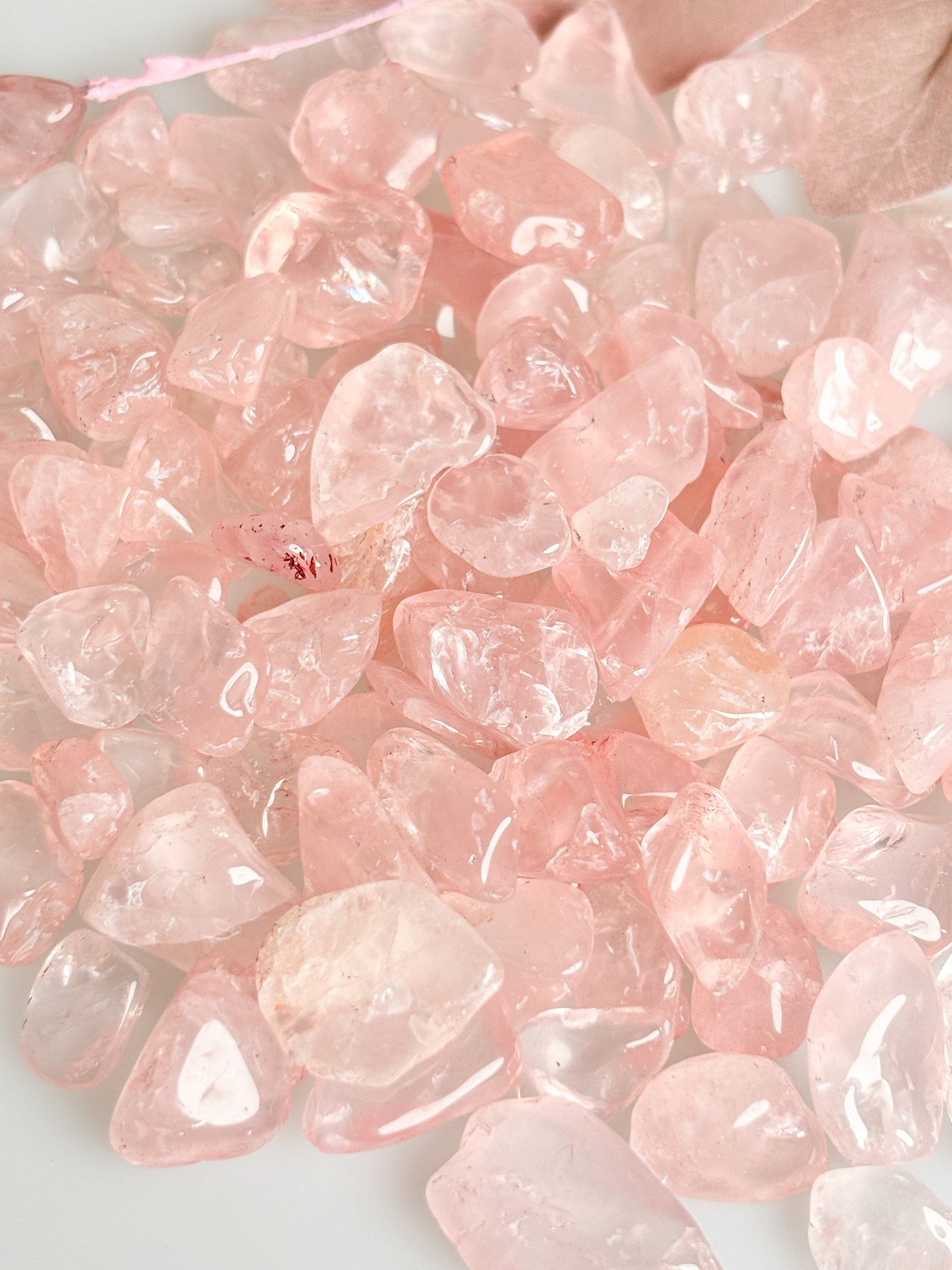 Rosenquarz Chips – Optimal zur Wasserenergetisierung oder als Deko – Sehr Transparent, Hochwertig und Vielseitig einsetzbar
