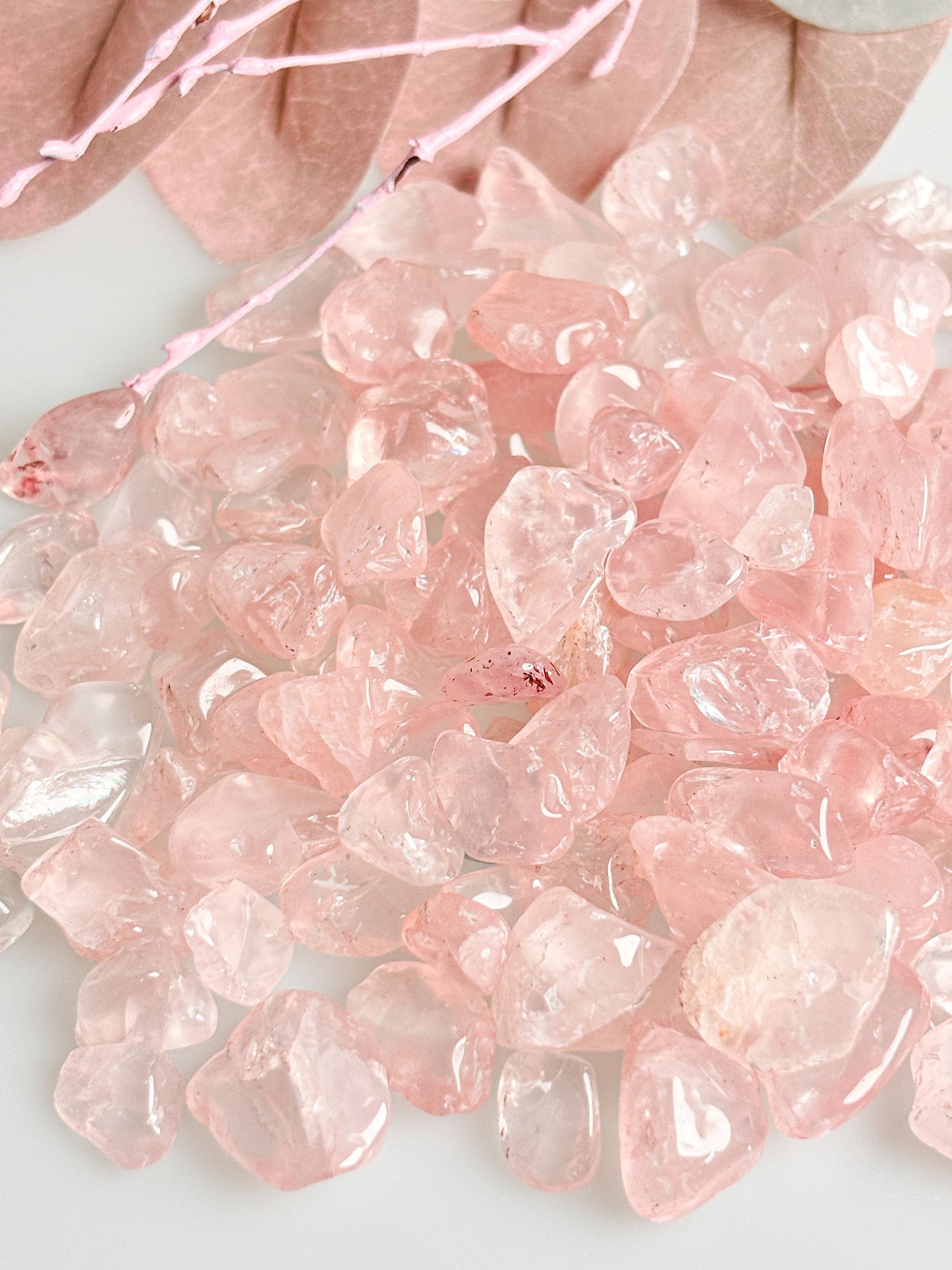 Rosenquarz Chips – Optimal zur Wasserenergetisierung oder als Deko – Sehr Transparent, Hochwertig und Vielseitig einsetzbar