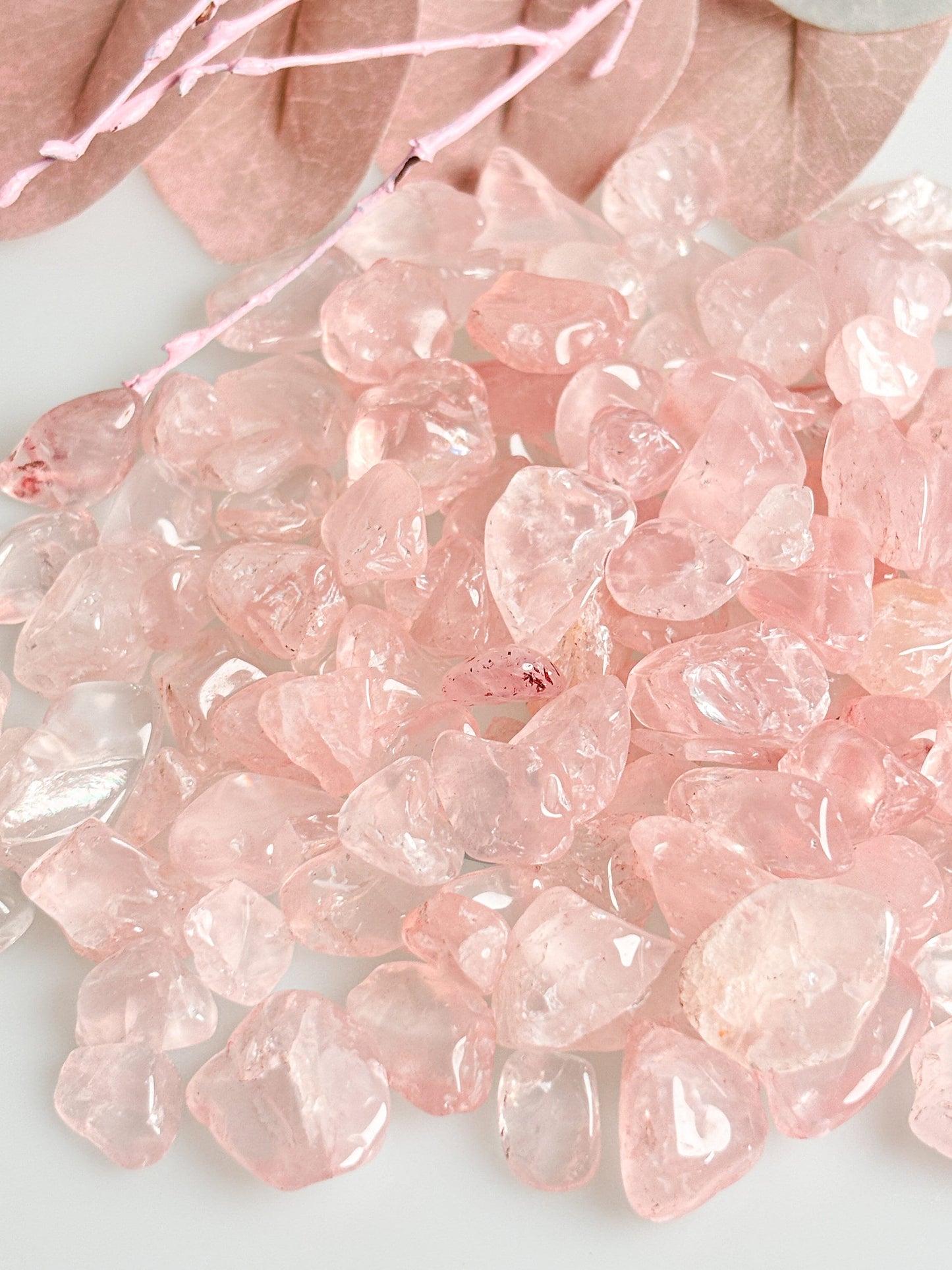 Rosenquarz Chips – Optimal zur Wasserenergetisierung oder als Deko – Sehr Transparent, Hochwertig und Vielseitig einsetzbar