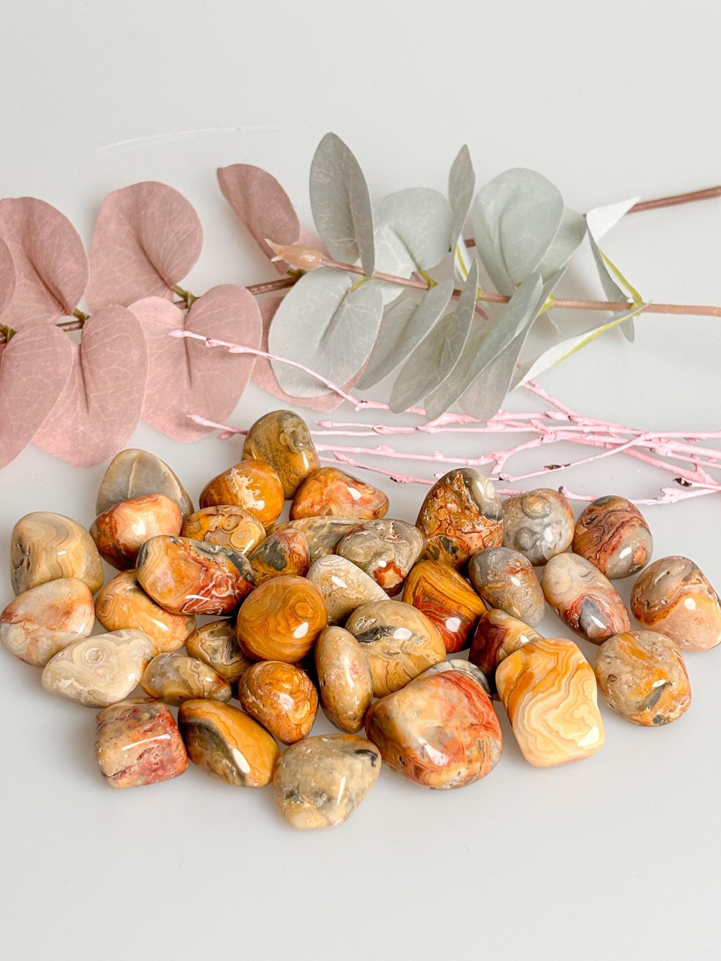 Crazy Lace Agate Tumbled Stones - Natural Healing Stones in Various Sizes | Energy & Balance
