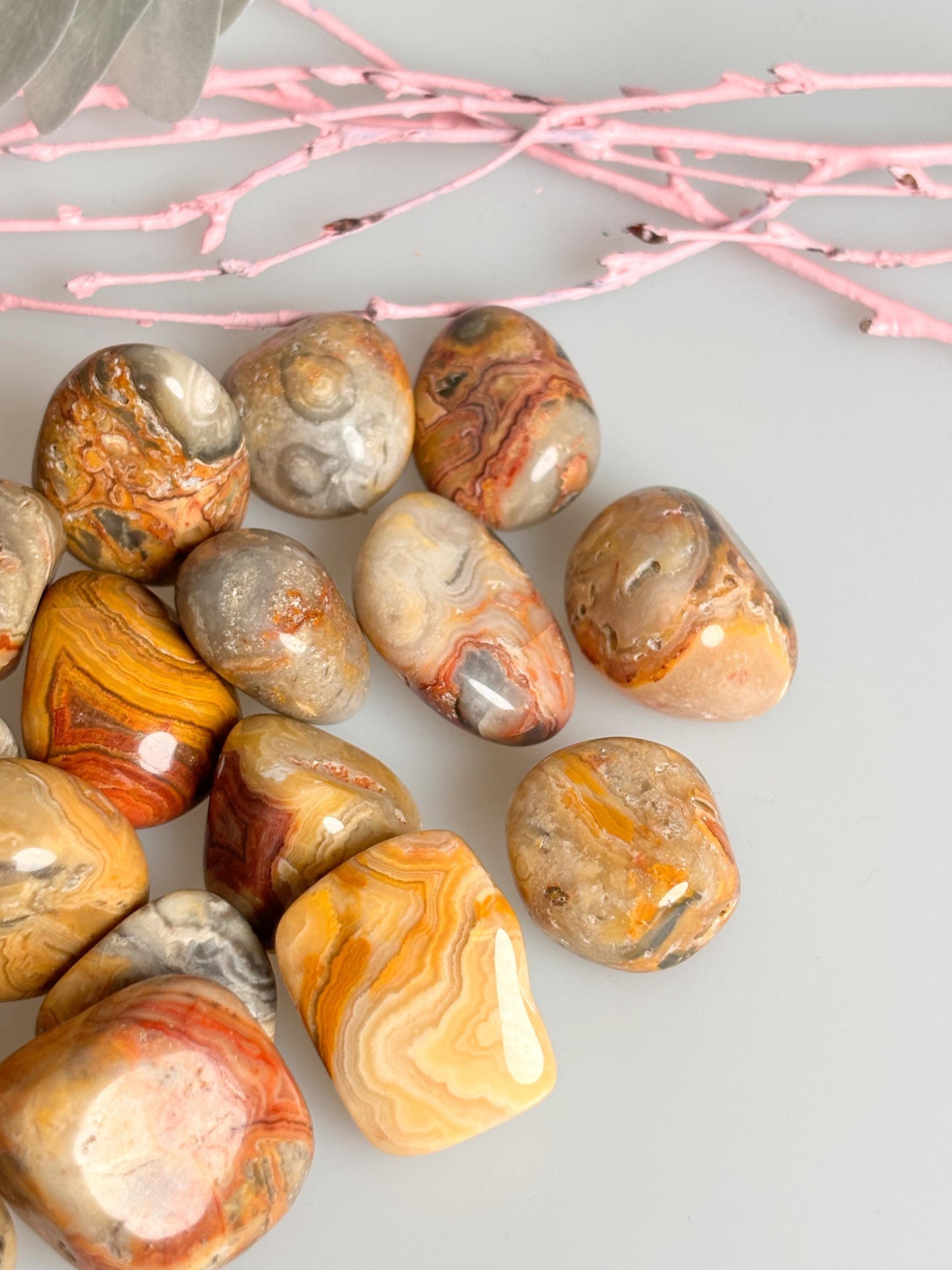 Crazy Lace Agate Tumbled Stones - Natural Healing Stones in Various Sizes | Energy & Balance
