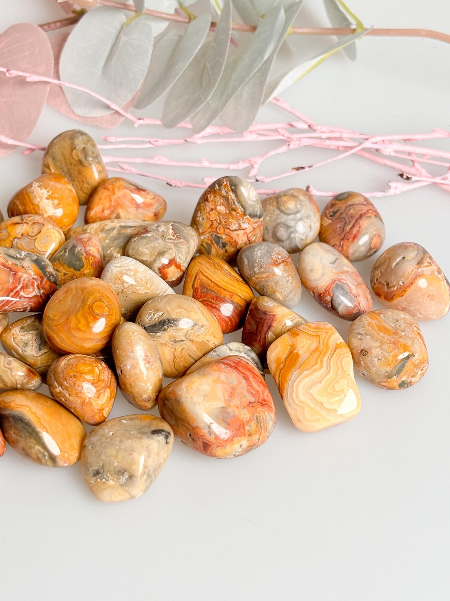 Crazy Lace Agate Tumbled Stones - Natural Healing Stones in Various Sizes | Energy & Balance