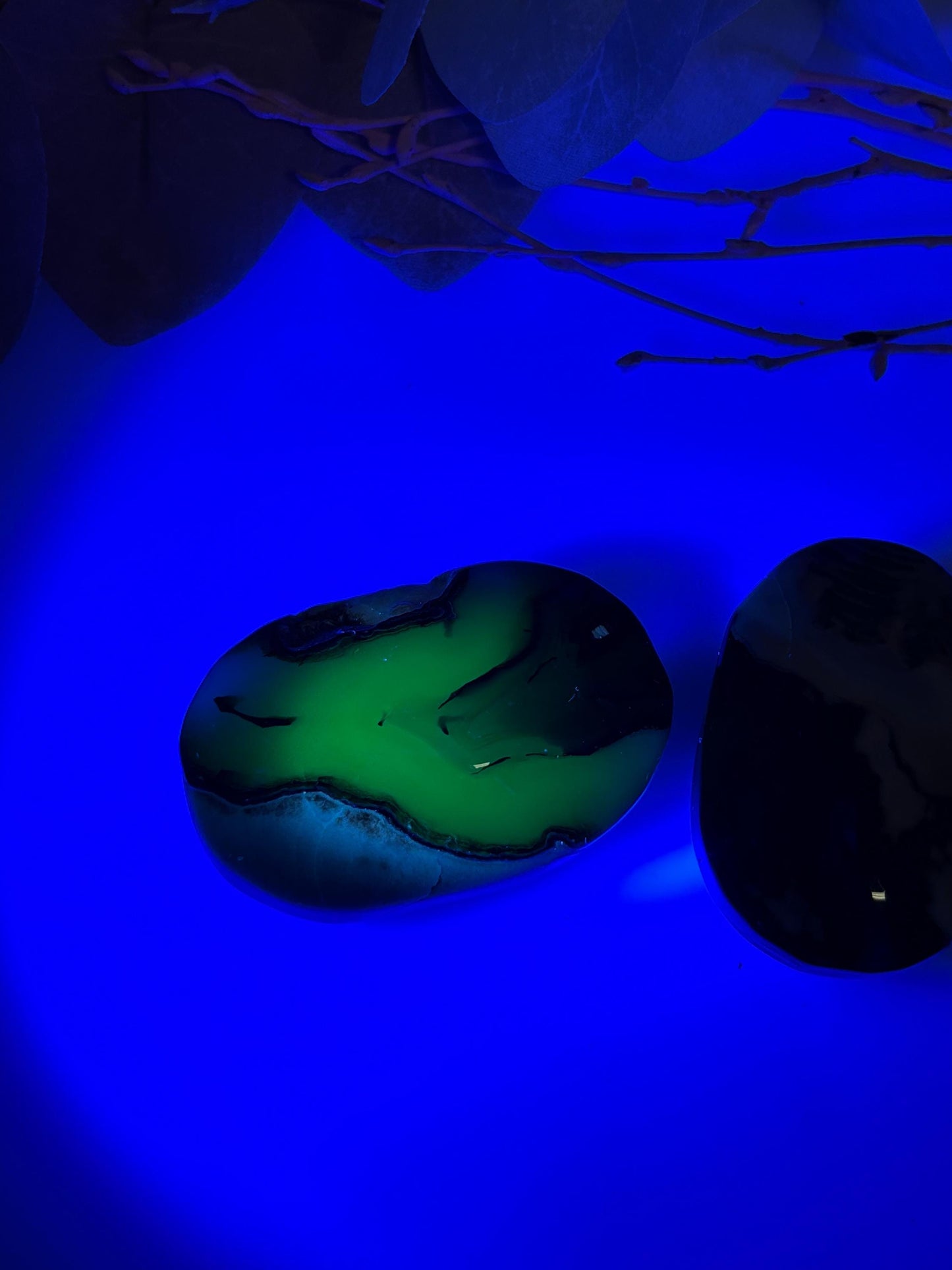 Vulkan Achat Palmstone Leuchtende UV-Reaktion, Handschmeichler, einzigartige Maserung
