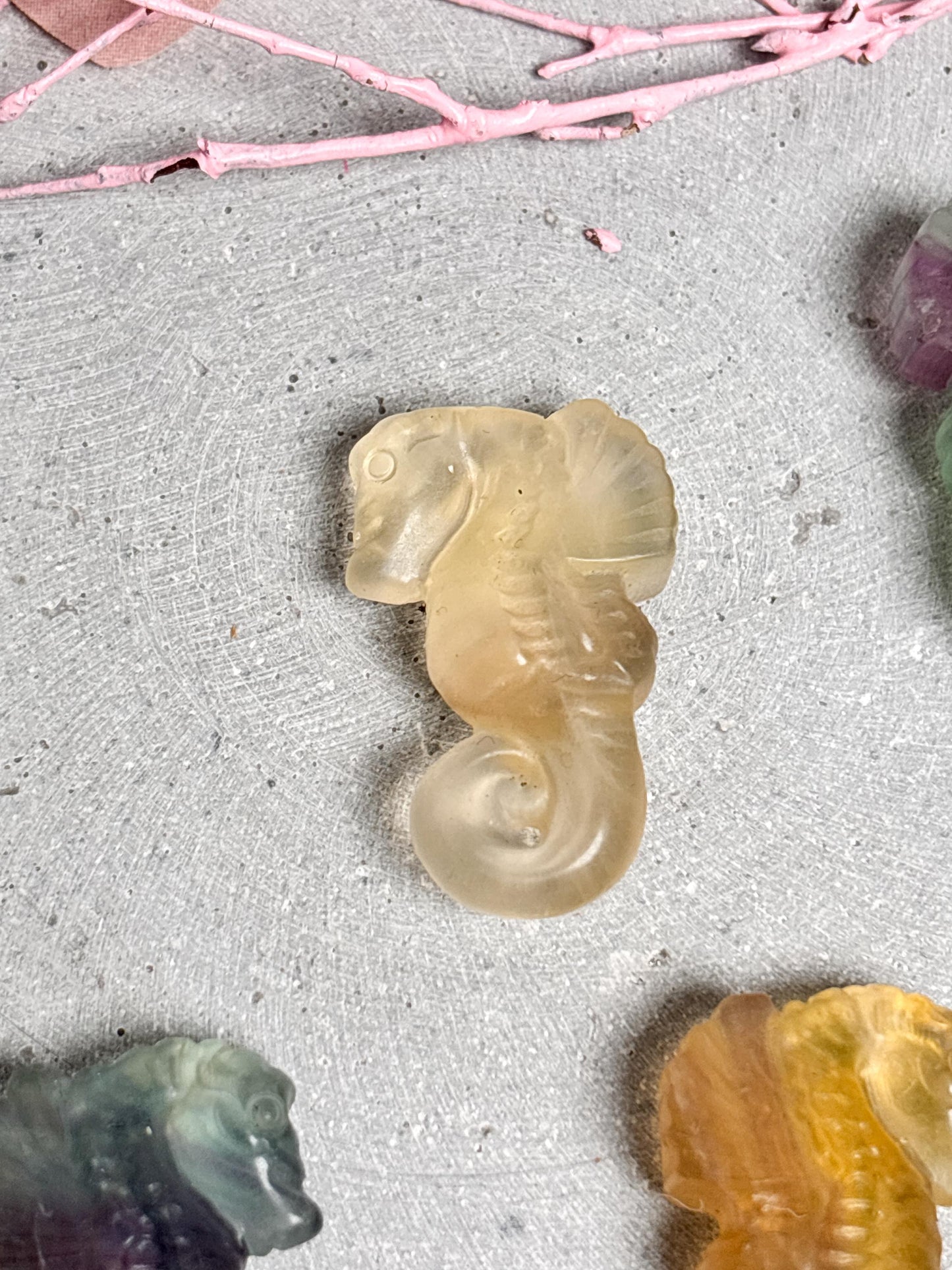 Fluorit Seepferdchen Figur kleine Kristallfigur aus Edelstein Dekoration in verschiedenen Farben Tierfigur Fluorit Geschenkidee