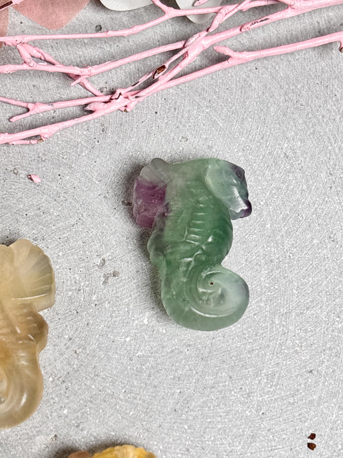 Fluorit Seepferdchen Figur kleine Kristallfigur aus Edelstein Dekoration in verschiedenen Farben Tierfigur Fluorit Geschenkidee