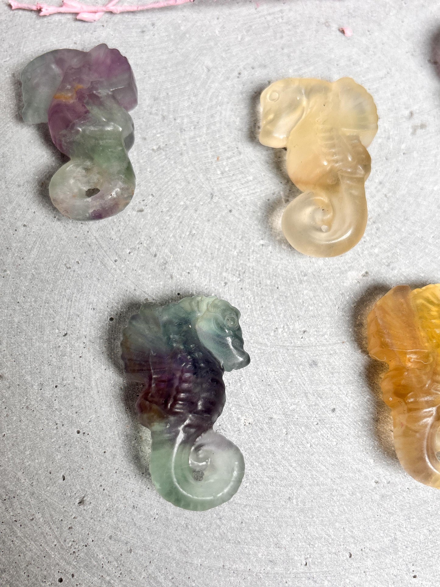 Fluorit Seepferdchen Figur kleine Kristallfigur aus Edelstein Dekoration in verschiedenen Farben Tierfigur Fluorit Geschenkidee