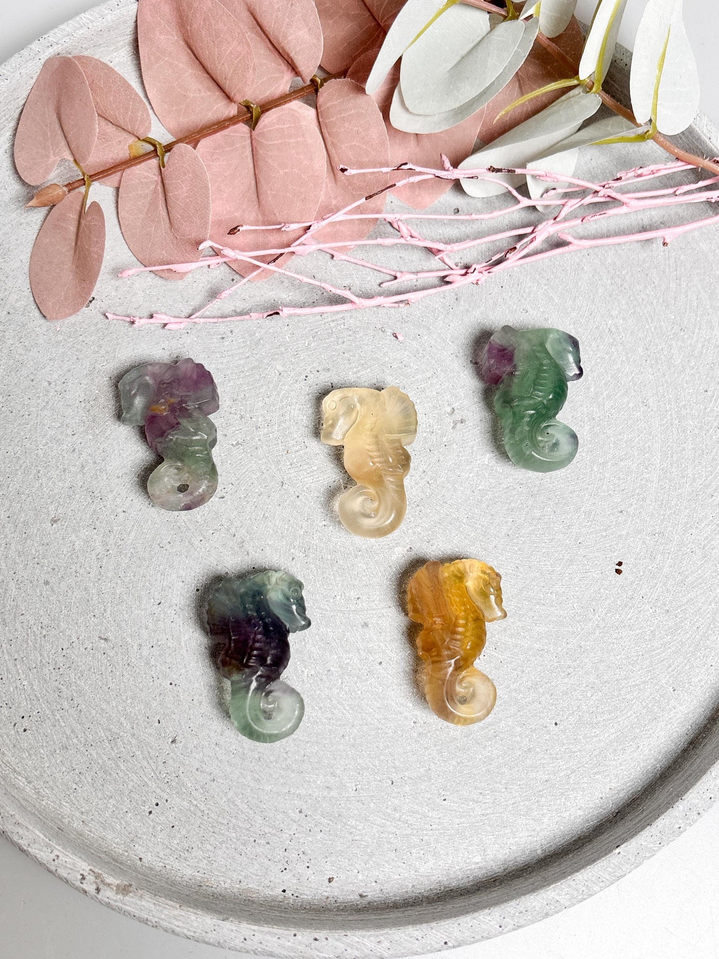 Fluorit Seepferdchen Figur kleine Kristallfigur aus Edelstein Dekoration in verschiedenen Farben Tierfigur Fluorit Geschenkidee