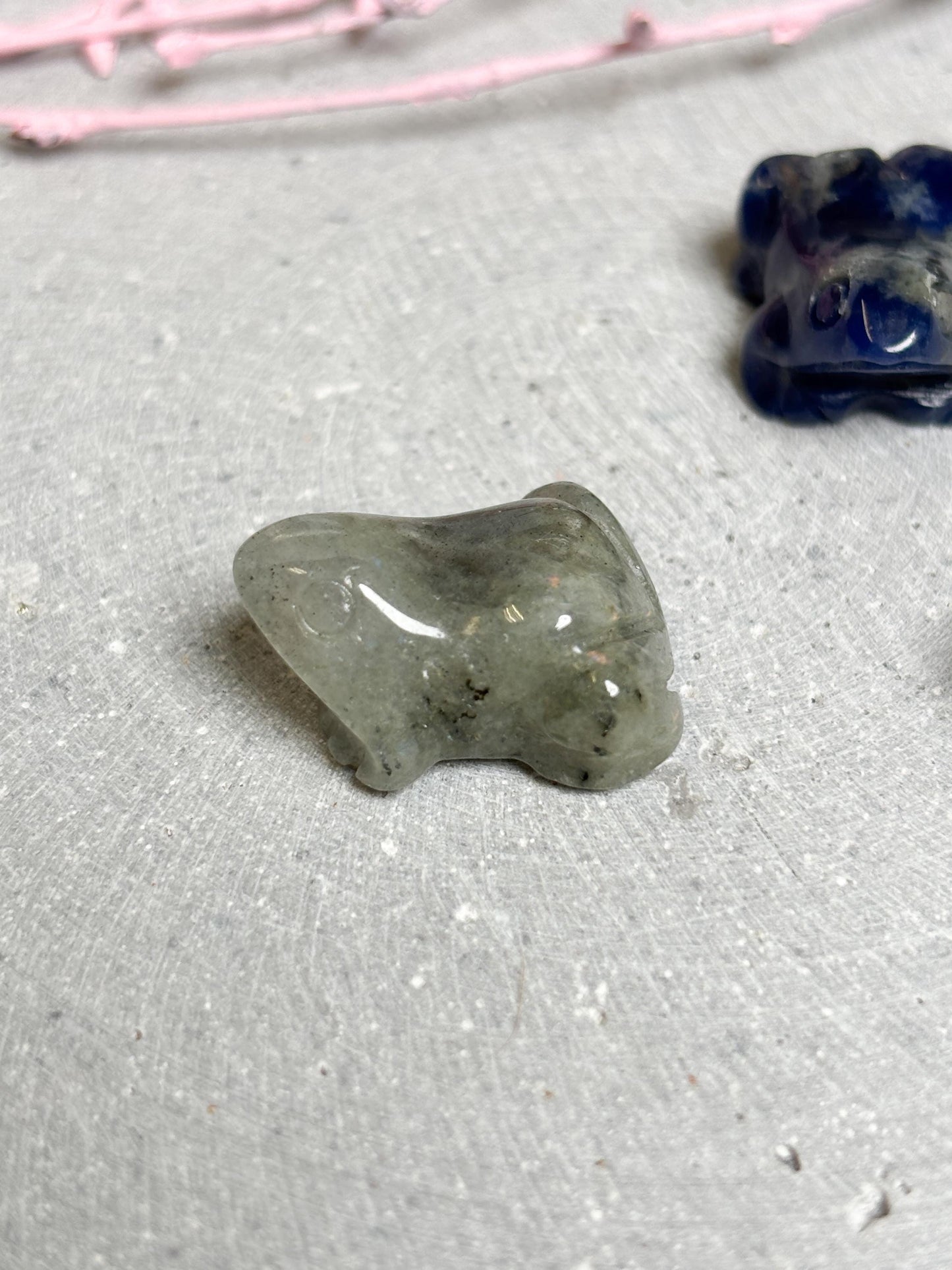 Mini Edelstein Frosch Kristall Carving Glücksbringer aus verschiedenen Steinen Kleiner Kristallfrosch zum Verschenken oder Sammeln