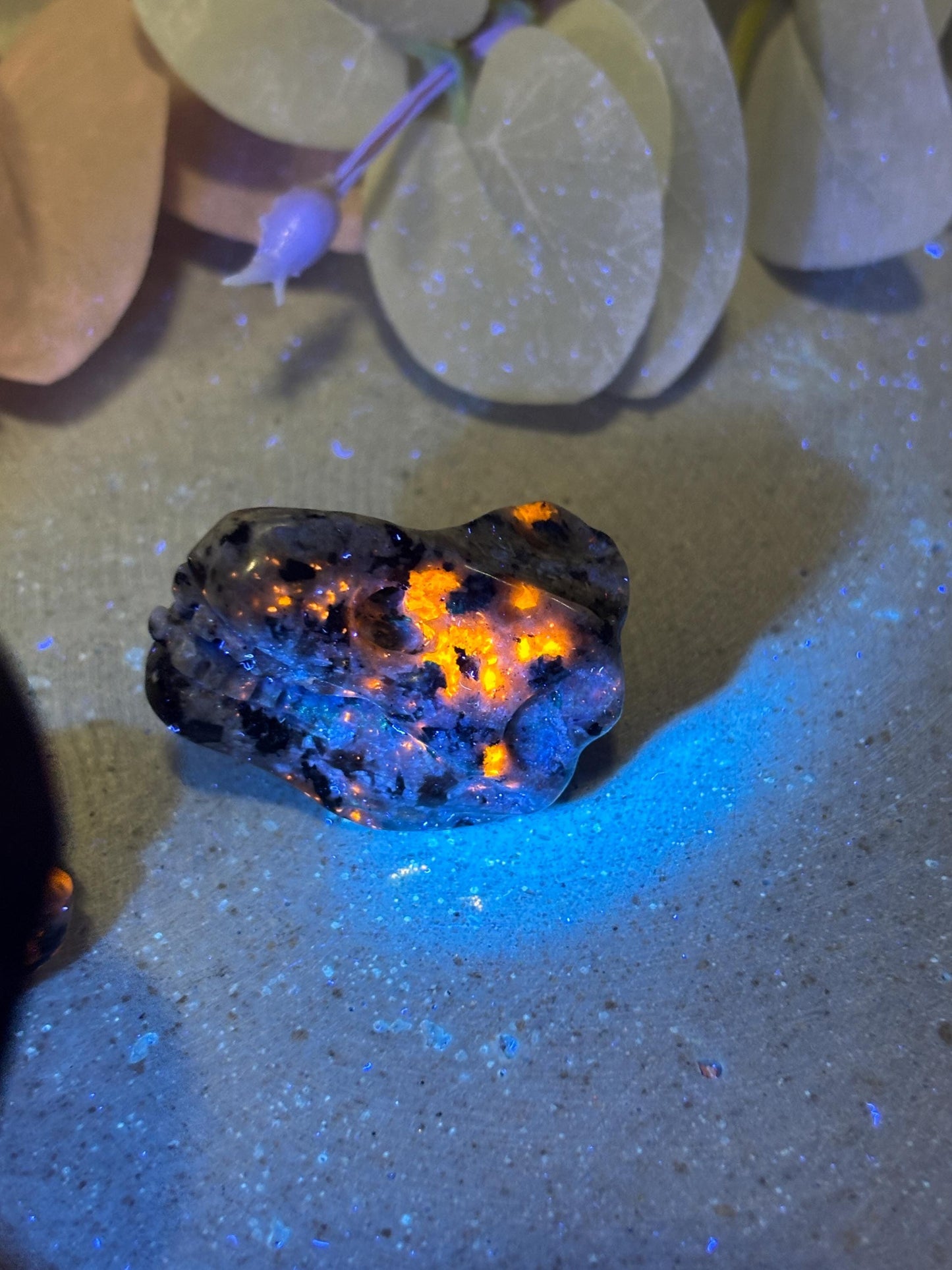 Yooperlite Dinosaurierkopf ca. 3,3 cm UV-aktiver Kristallkopf, kleine Edelstein Figur, Naturstein Deko, Crystal Carving