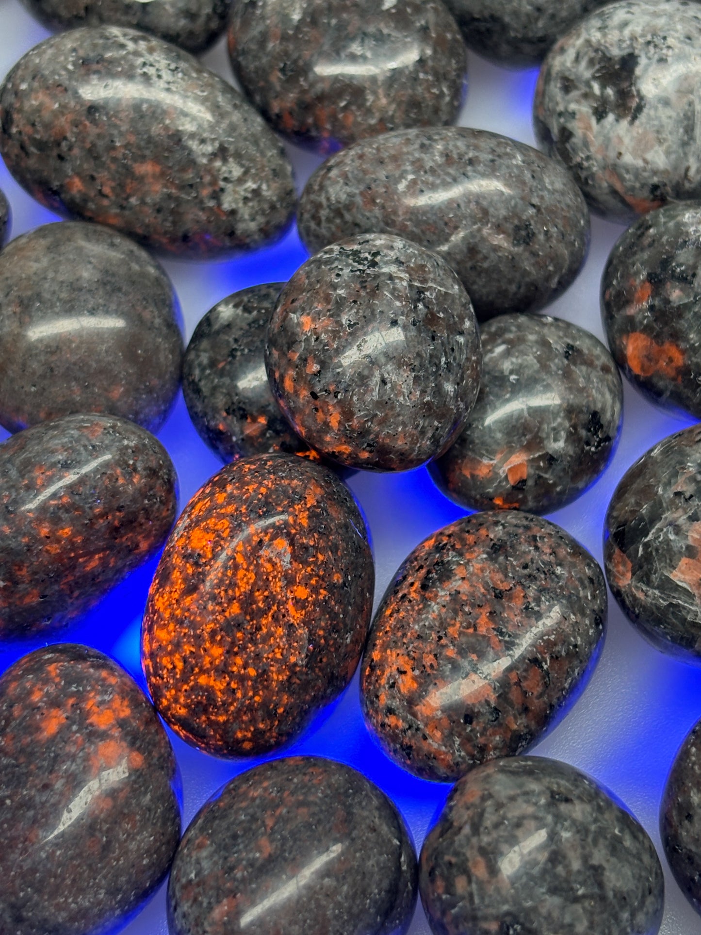 Yooperlite Trommelstein UV aktiv Naturstein fluoreszierend