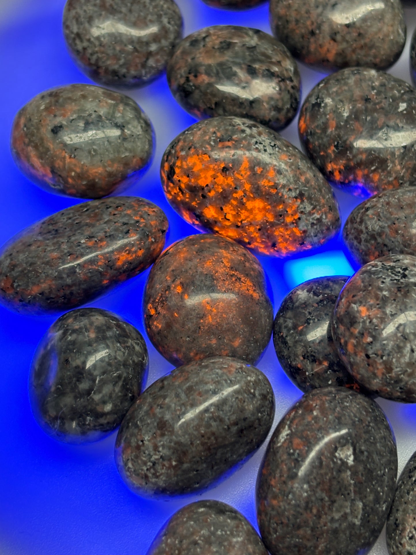 Yooperlite Trommelstein UV aktiv Naturstein fluoreszierend