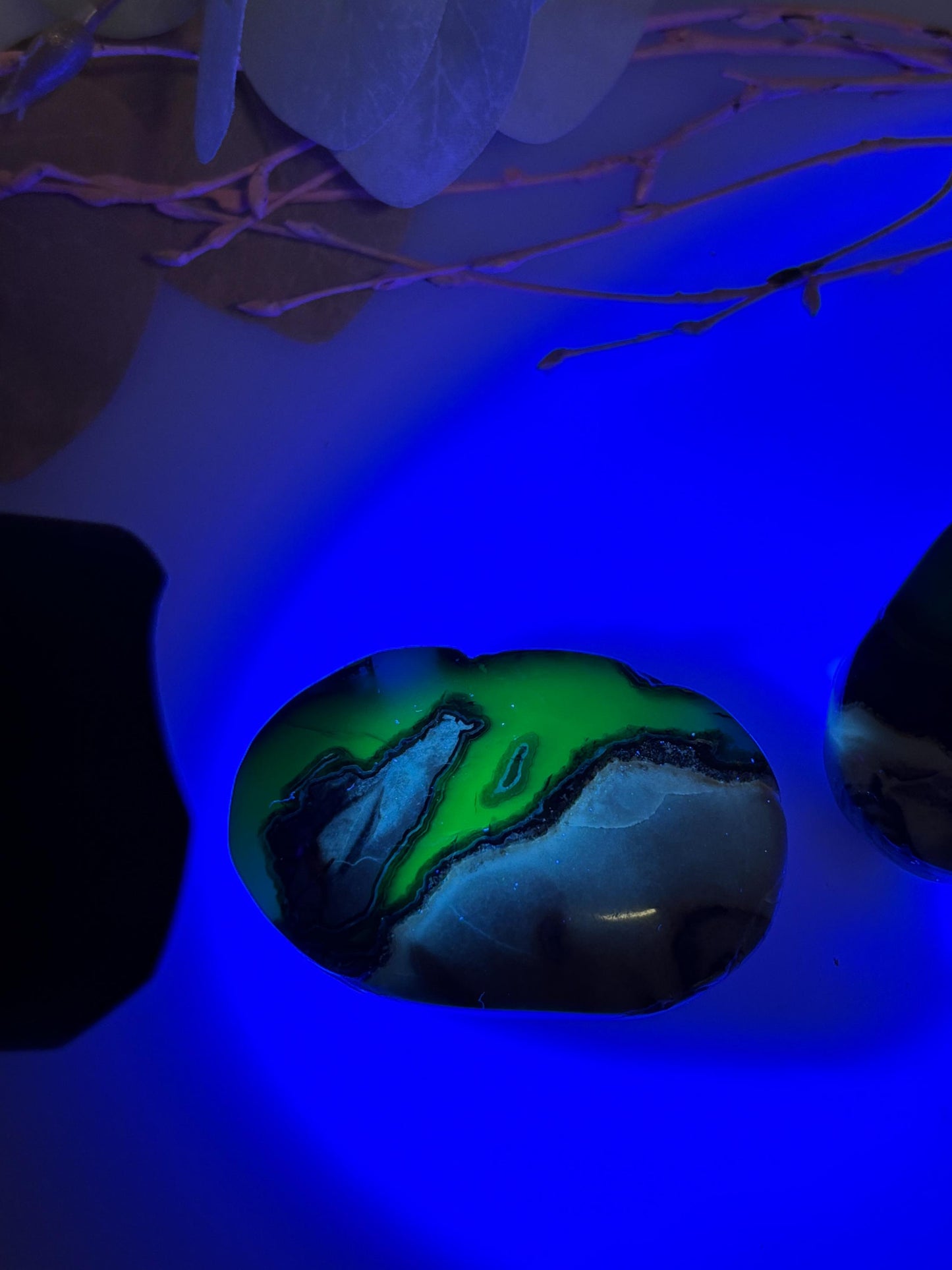 Vulkan Achat Palmstone  Leuchtende UV-Reaktion, Handschmeichler, einzigartige Maserung