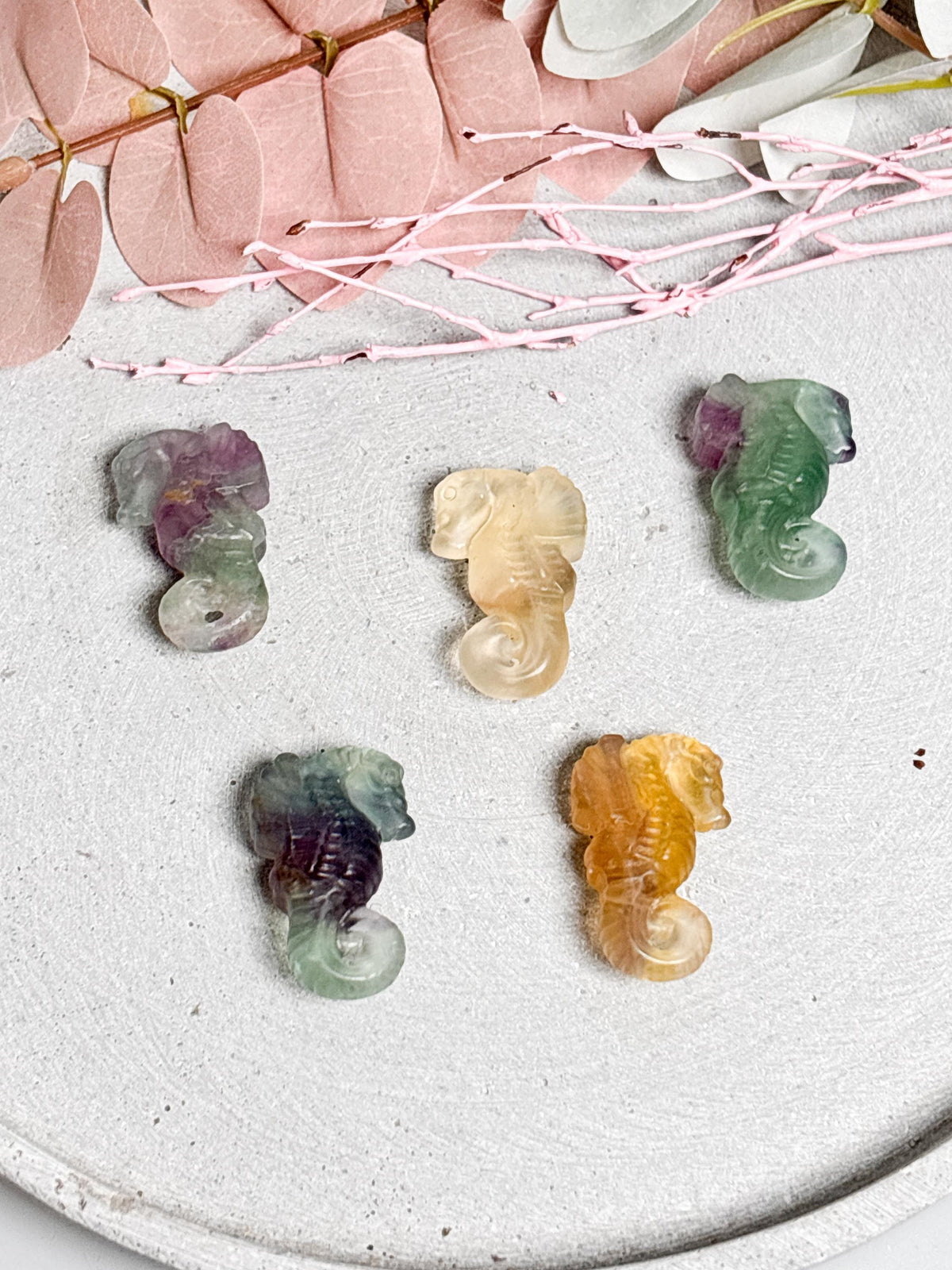 Fluorit Seepferdchen Figur  kleine Kristallfigur aus Edelstein  Dekoration in verschiedenen Farben  Tierfigur Fluorit  Geschenkidee