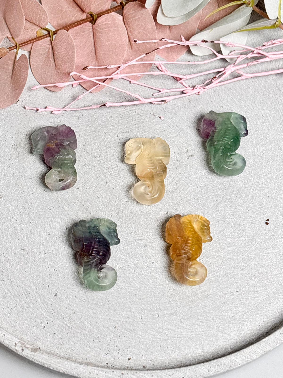 Fluorit Seepferdchen Figur  kleine Kristallfigur aus Edelstein  Dekoration in verschiedenen Farben  Tierfigur Fluorit  Geschenkidee