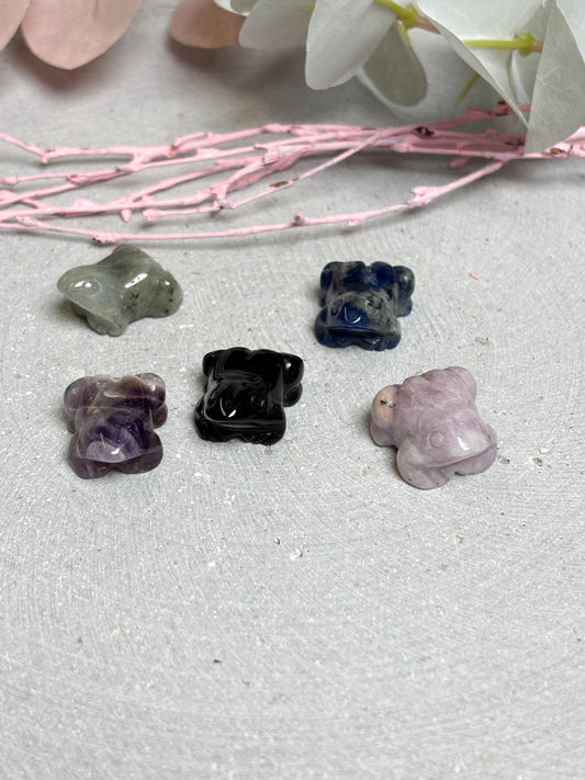 Mini Edelstein Frosch  Kristall Carving  Glücksbringer aus verschiedenen Steinen  Kleiner Kristallfrosch zum Verschenken oder Sammeln
