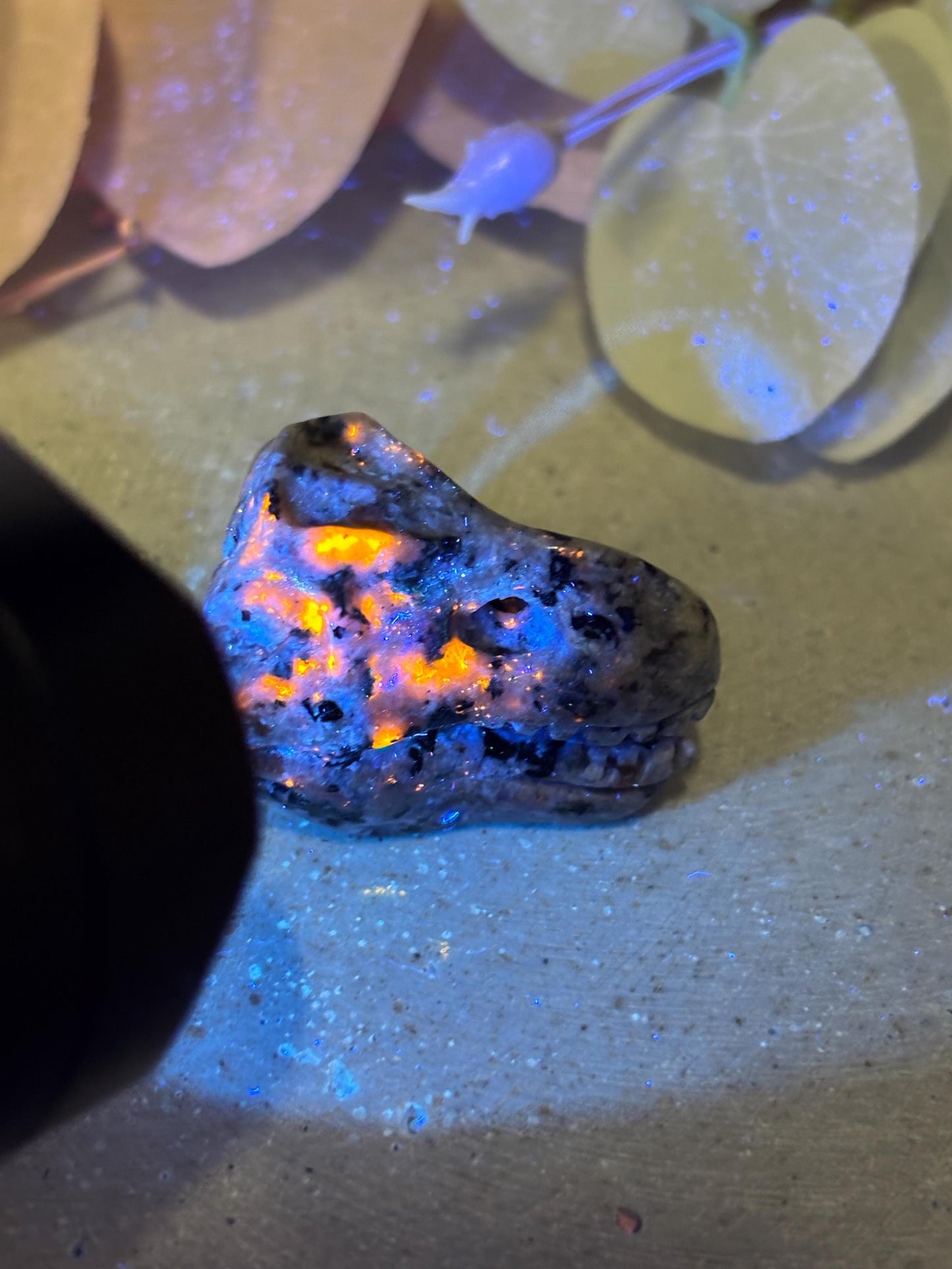 Yooperlite Dinosaurierkopf ca. 3,3 cm  UV-aktiver Kristallkopf, kleine Edelstein Figur, Naturstein Deko, Crystal Carving