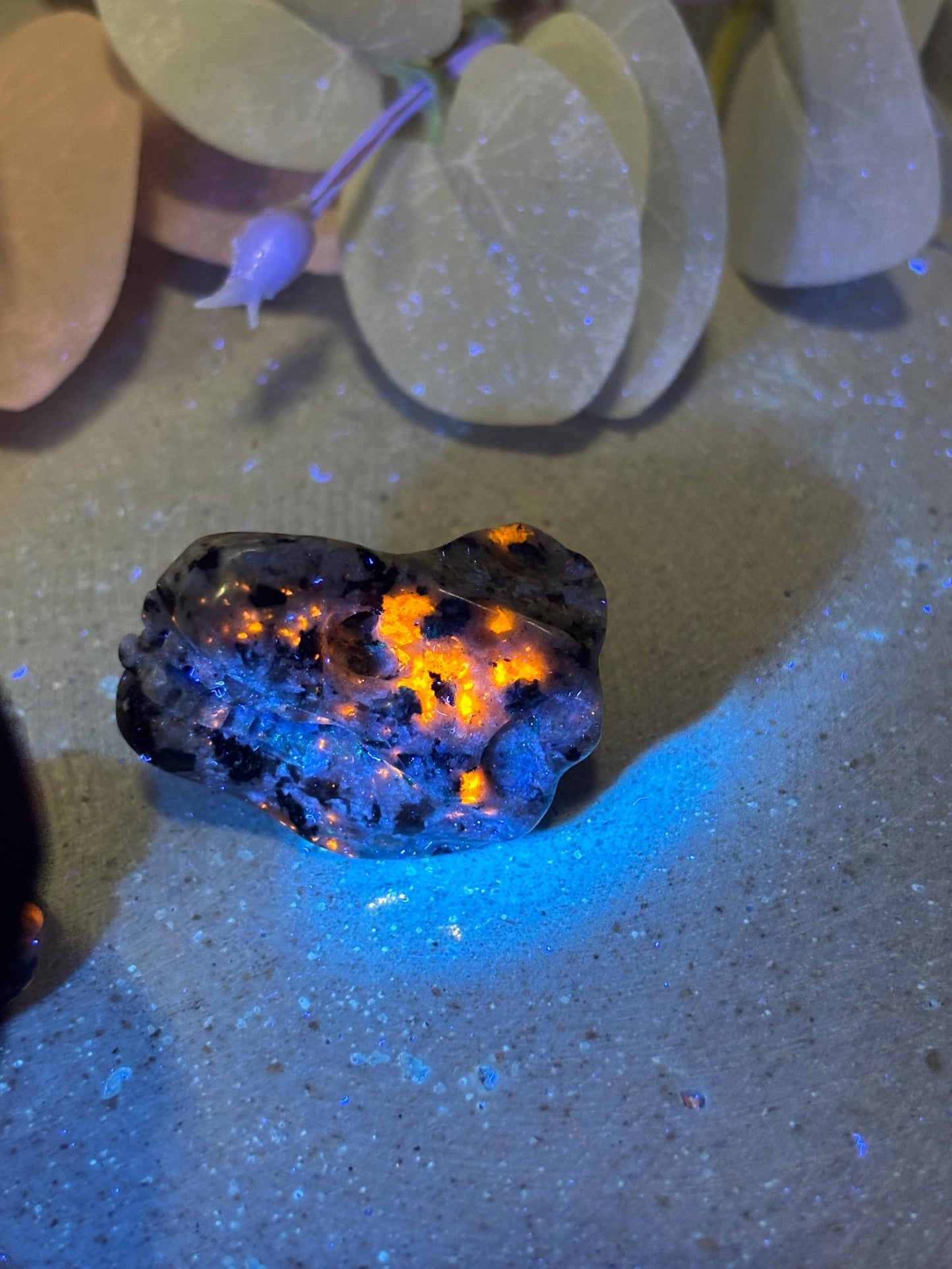 Yooperlite Dinosaurierkopf ca. 3,3 cm  UV-aktiver Kristallkopf, kleine Edelstein Figur, Naturstein Deko, Crystal Carving