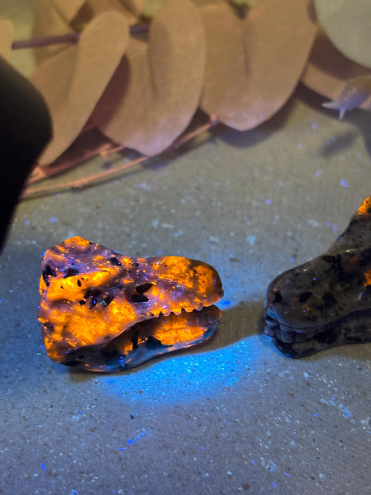 Yooperlite Dinosaurierkopf ca. 3,3 cm  UV-aktiver Kristallkopf, kleine Edelstein Figur, Naturstein Deko, Crystal Carving