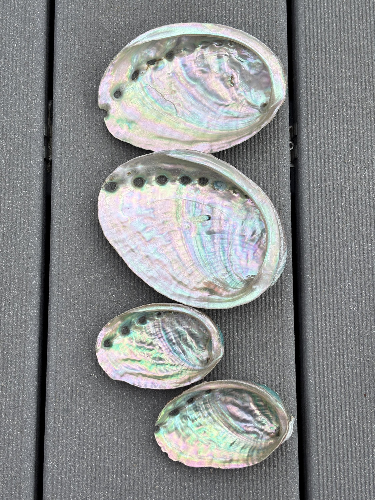 Abalone Muschel klein & groß ca. 711 cm Räucherschale Perlmutt Muschel Räuchern Kristalle Deko Schale