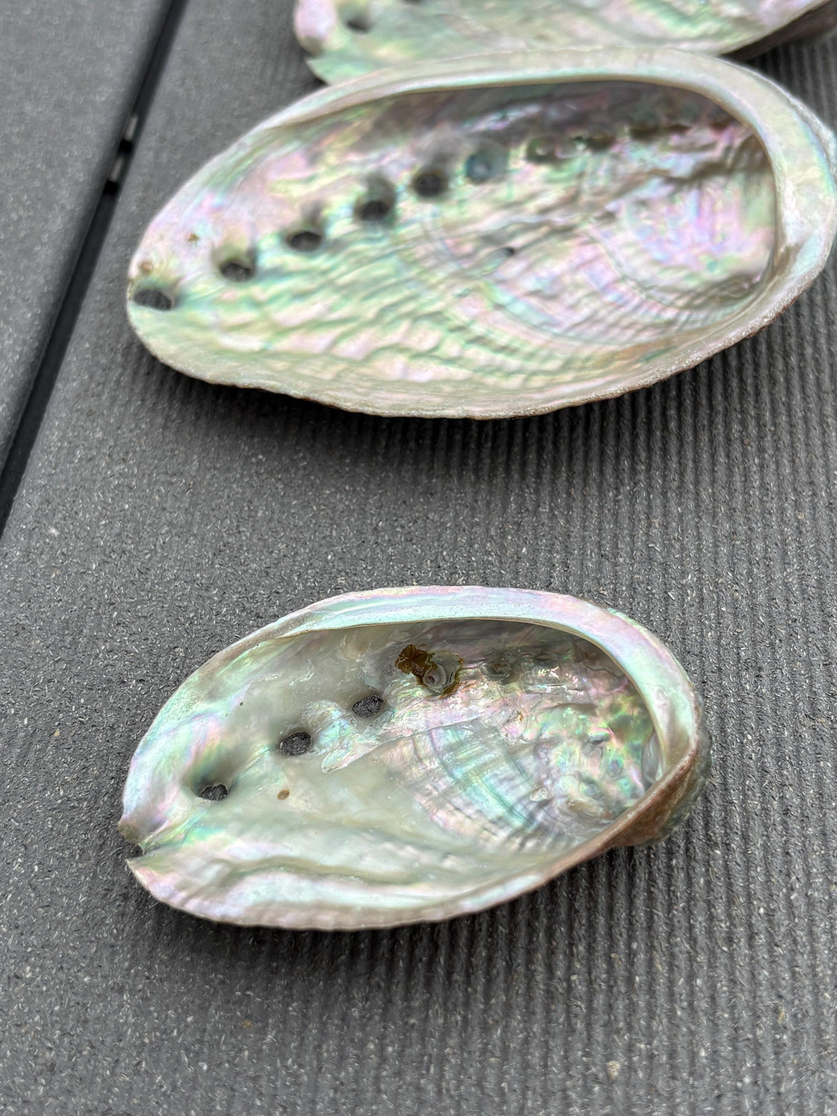 Abalone Muschel klein & groß ca. 711 cm Räucherschale Perlmutt Muschel Räuchern Kristalle Deko Schale