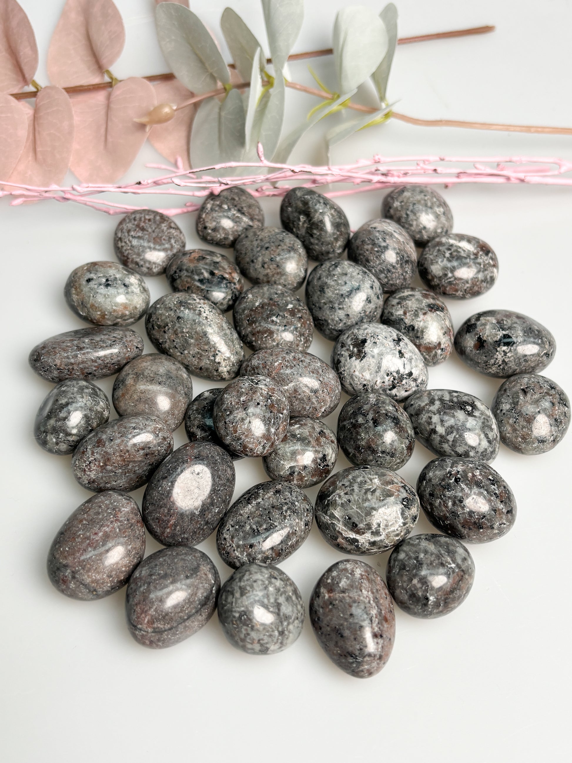 Yooperlite Trommelstein UV aktiv Naturstein fluoreszierend